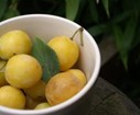 DSC05923.JPG